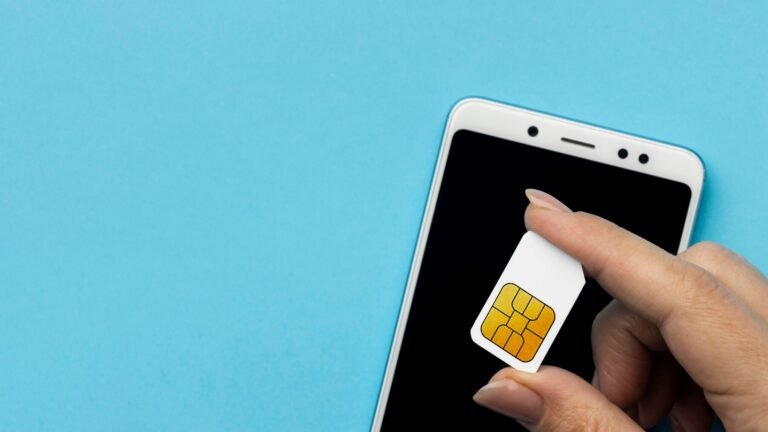 apa itu esim